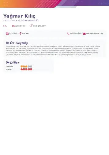 Okul Öncesi Öğretmeni Öğretmenliği Cv Örnekleri cv indir